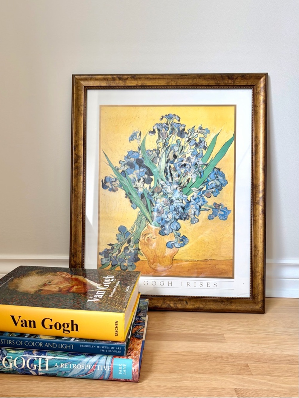 Van Gogh Irises Art Framed Print 18x22”